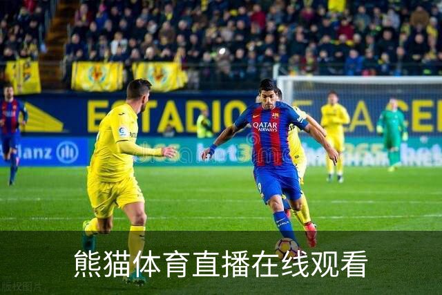 熊猫体育直播在线观看公司介绍